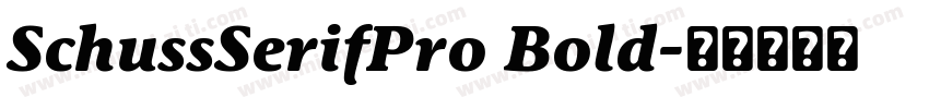 SchussSerifPro Bold字体转换